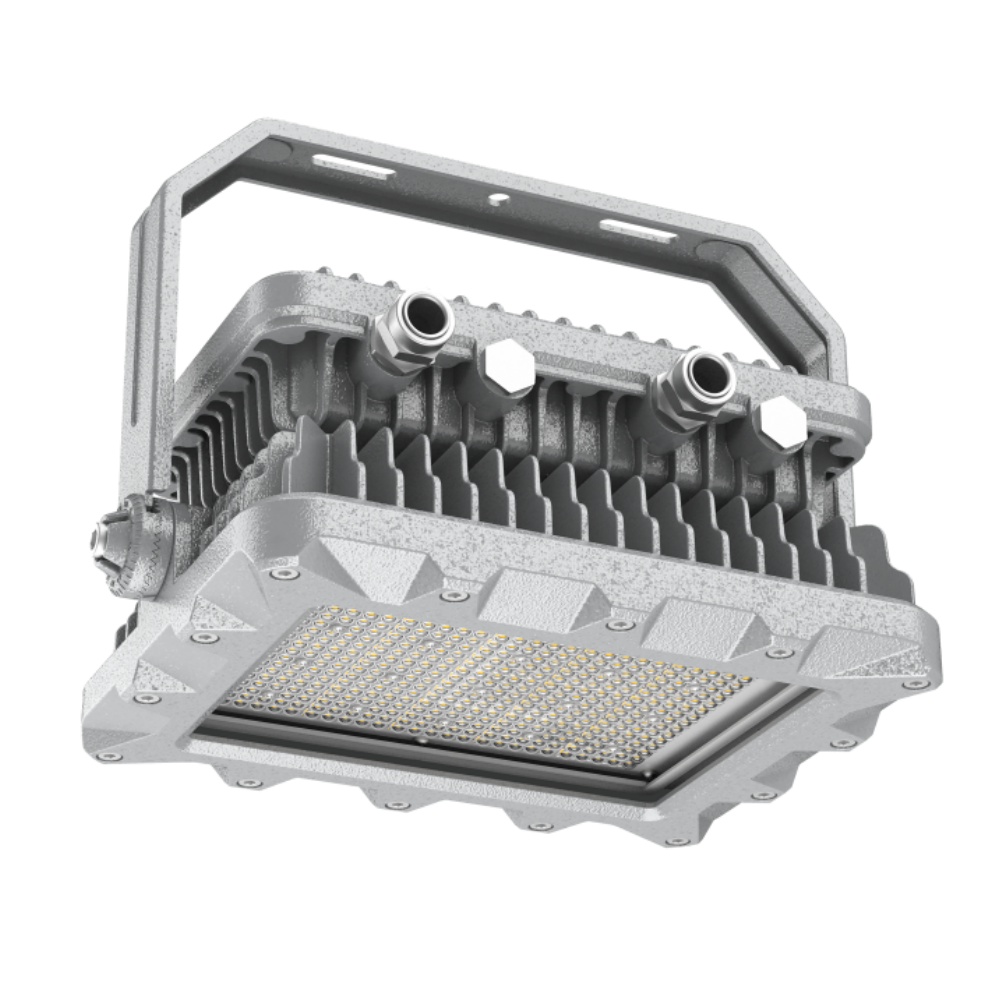 ROBUS Ex02 Ex Flood Light 50W-400W