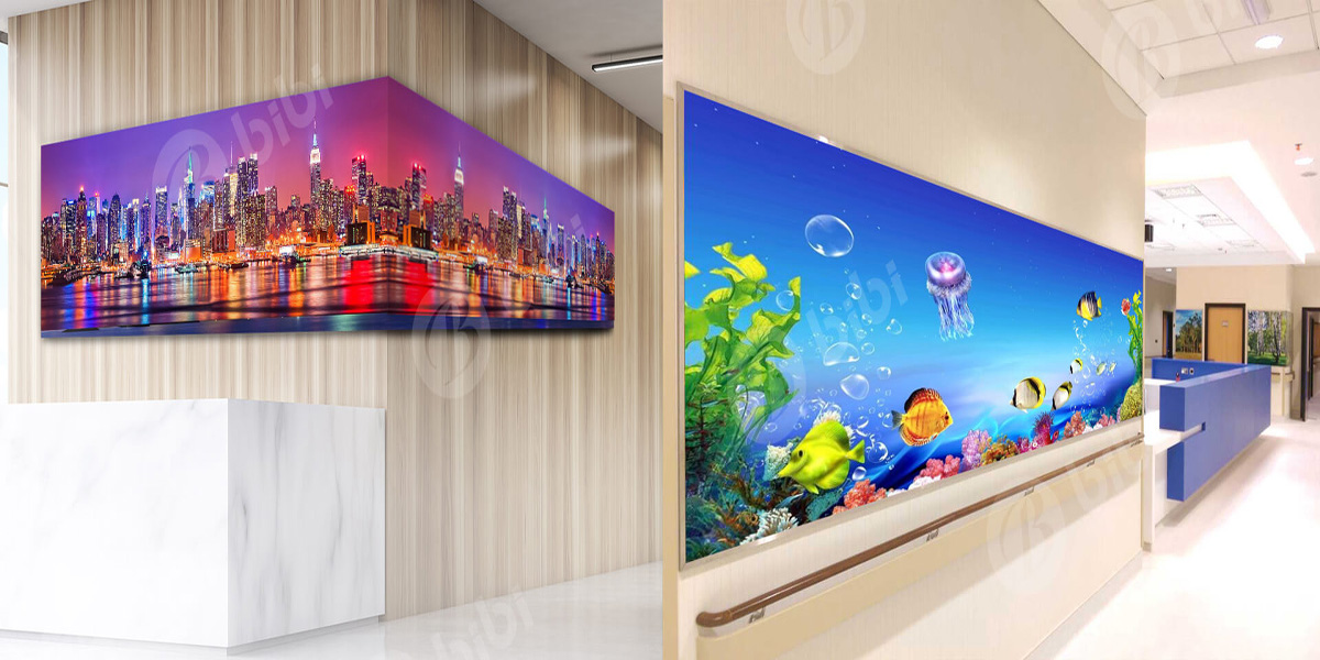 Where can the transparent window LED screen in the physical store be customized?